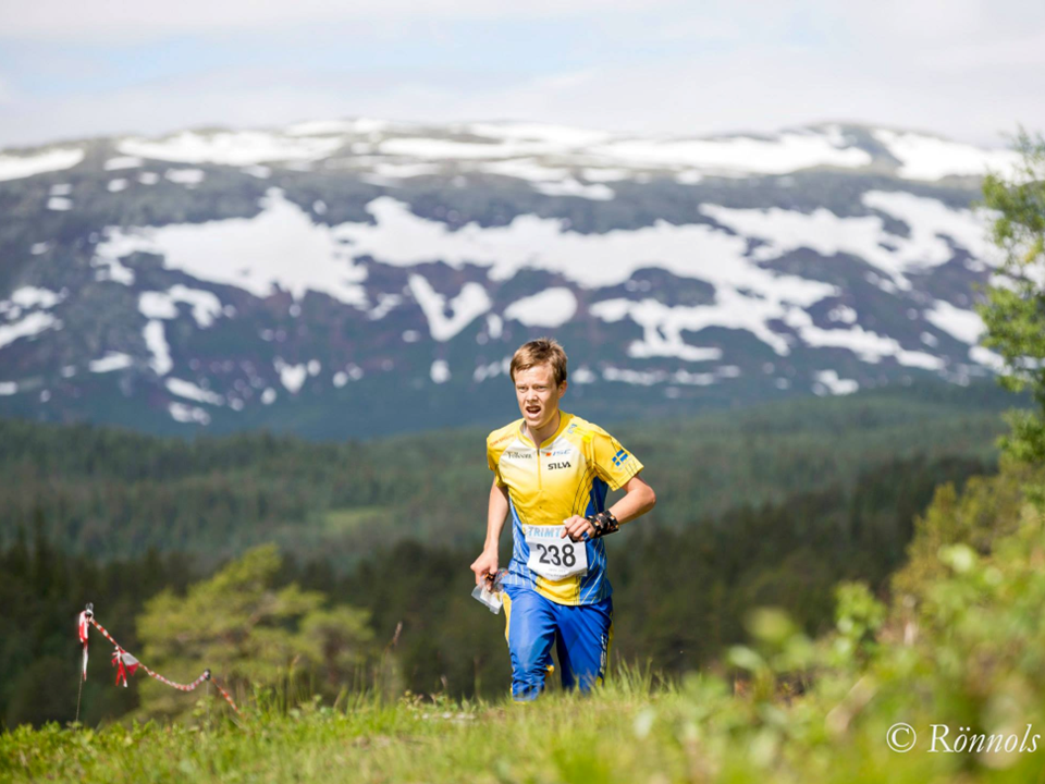 JVM 2015, Foto: Lars Rönnols